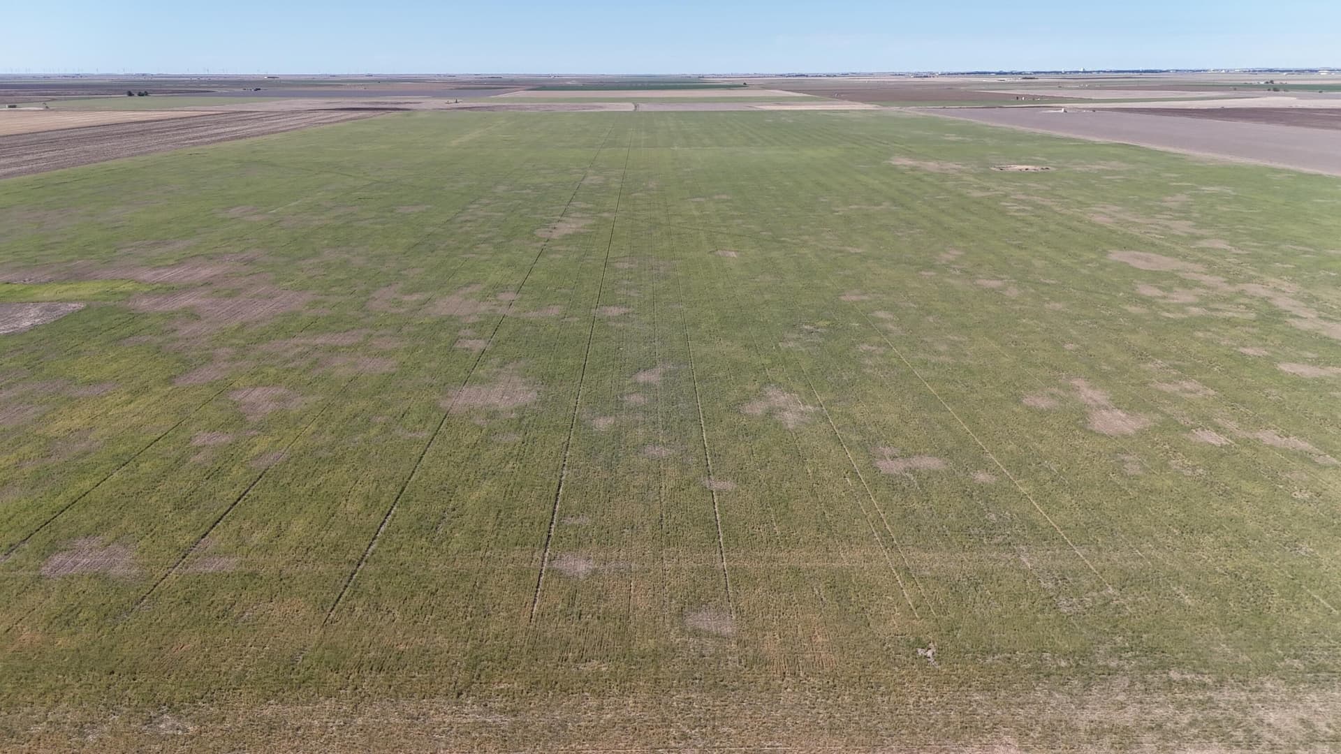 160 acres in Ochiltree County featured view