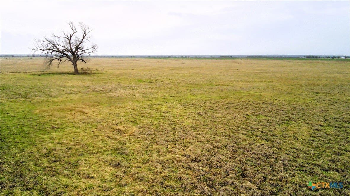 11 acres in Falls County gallery image 3