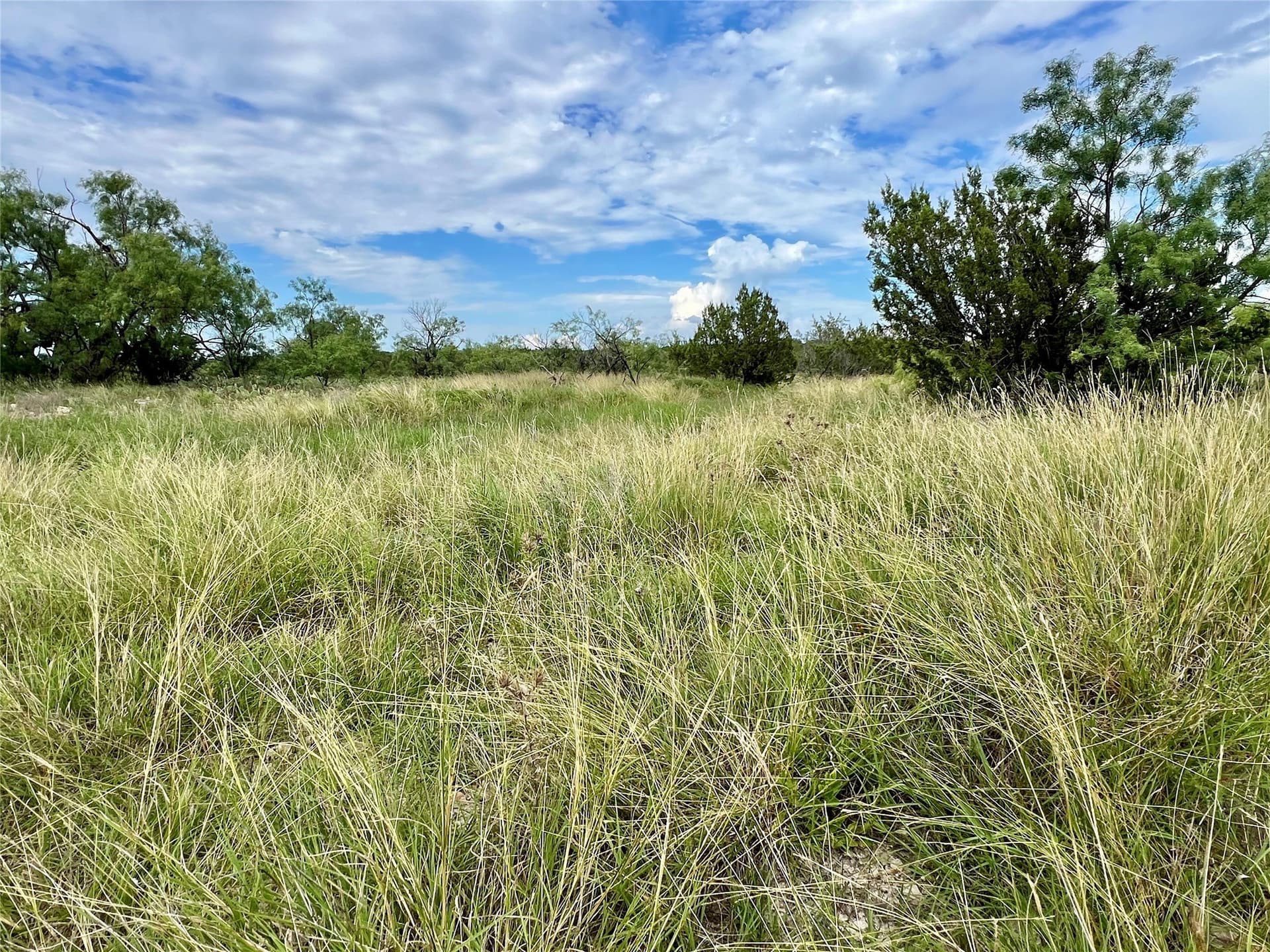 2,040 acres in Concho County - photo 36