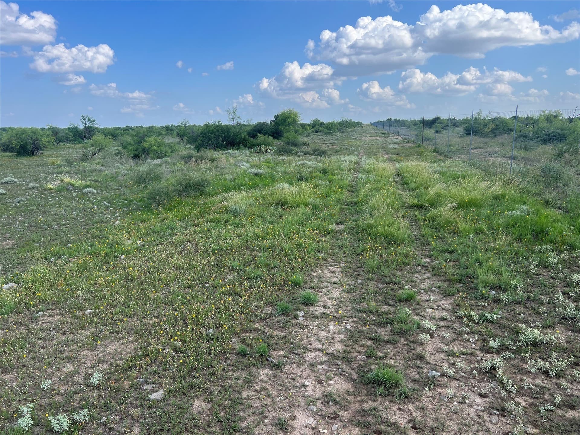 2,040 acres in Concho County - photo 7