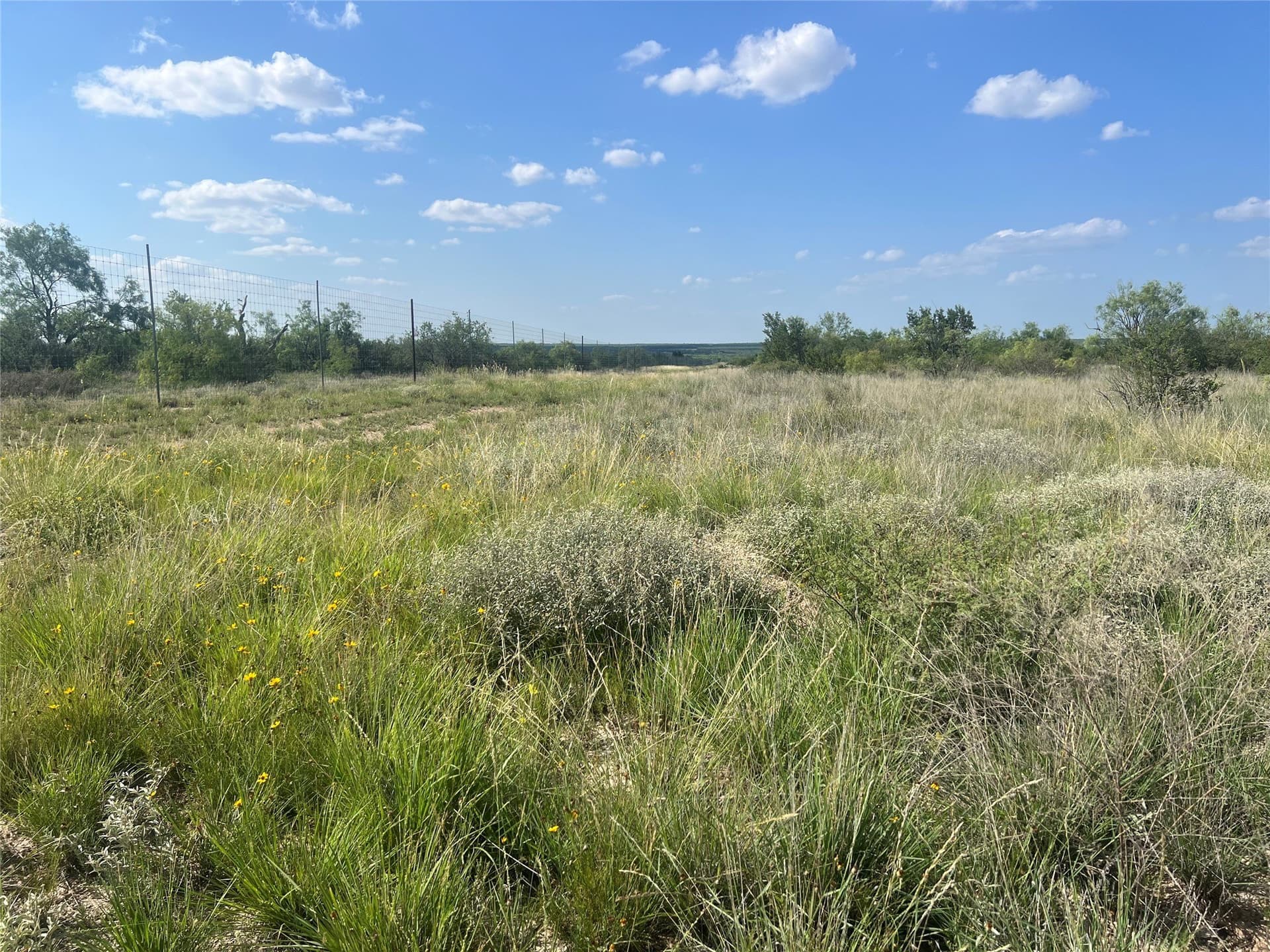 2,040 acres in Concho County - photo 5