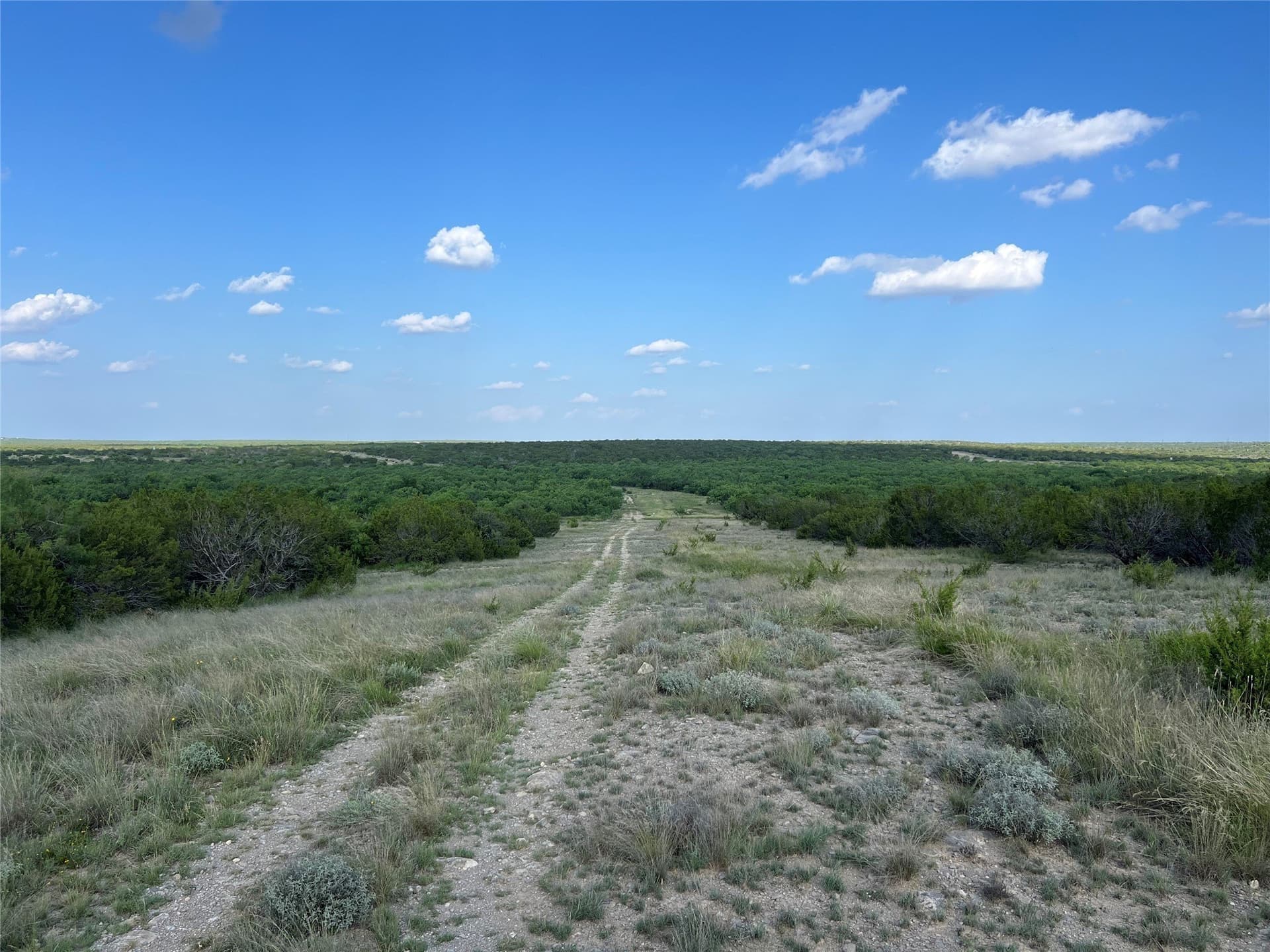 2,040 acres in Concho County - photo 12