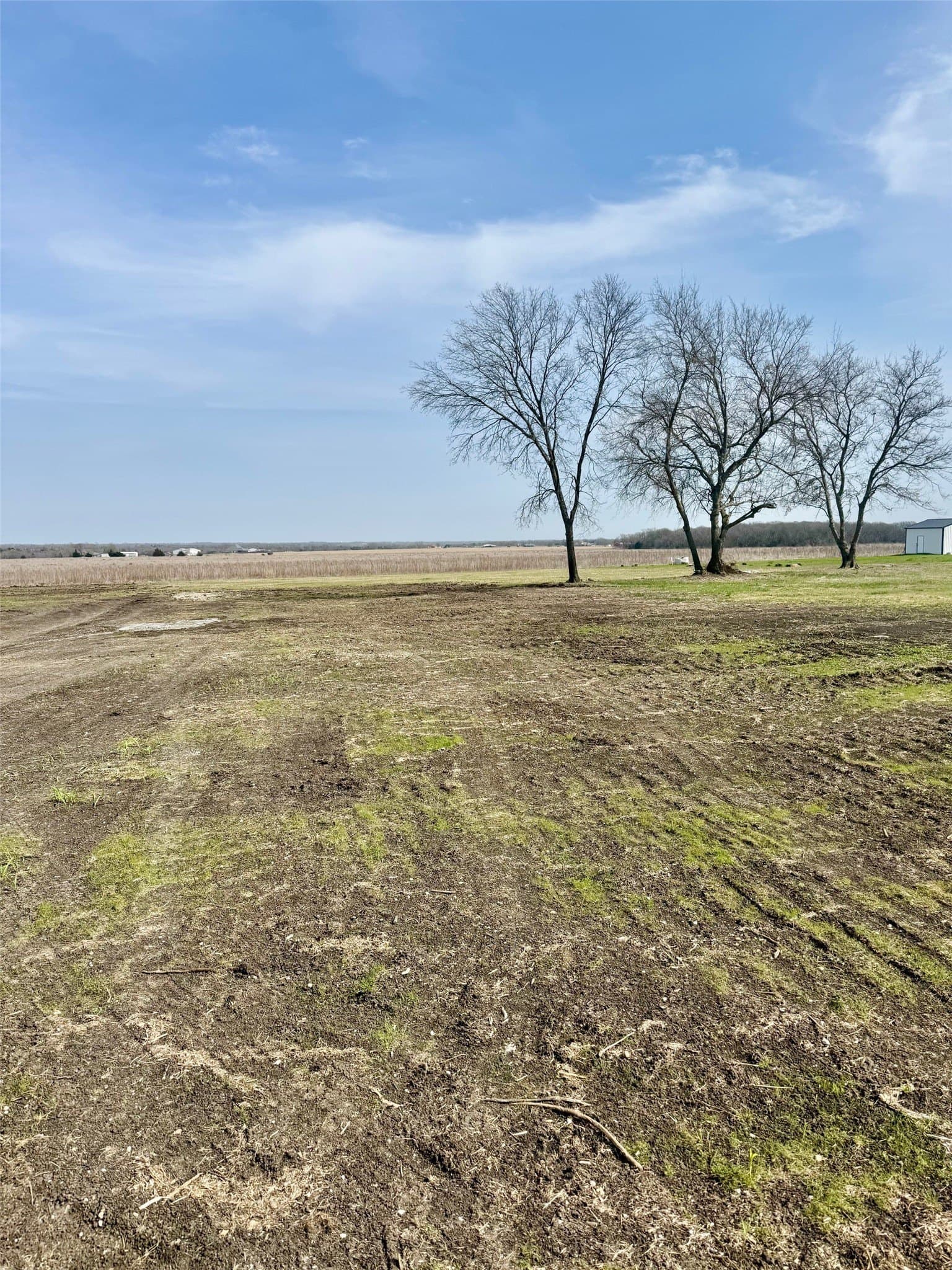 1.25 acres in Grayson County gallery image 2