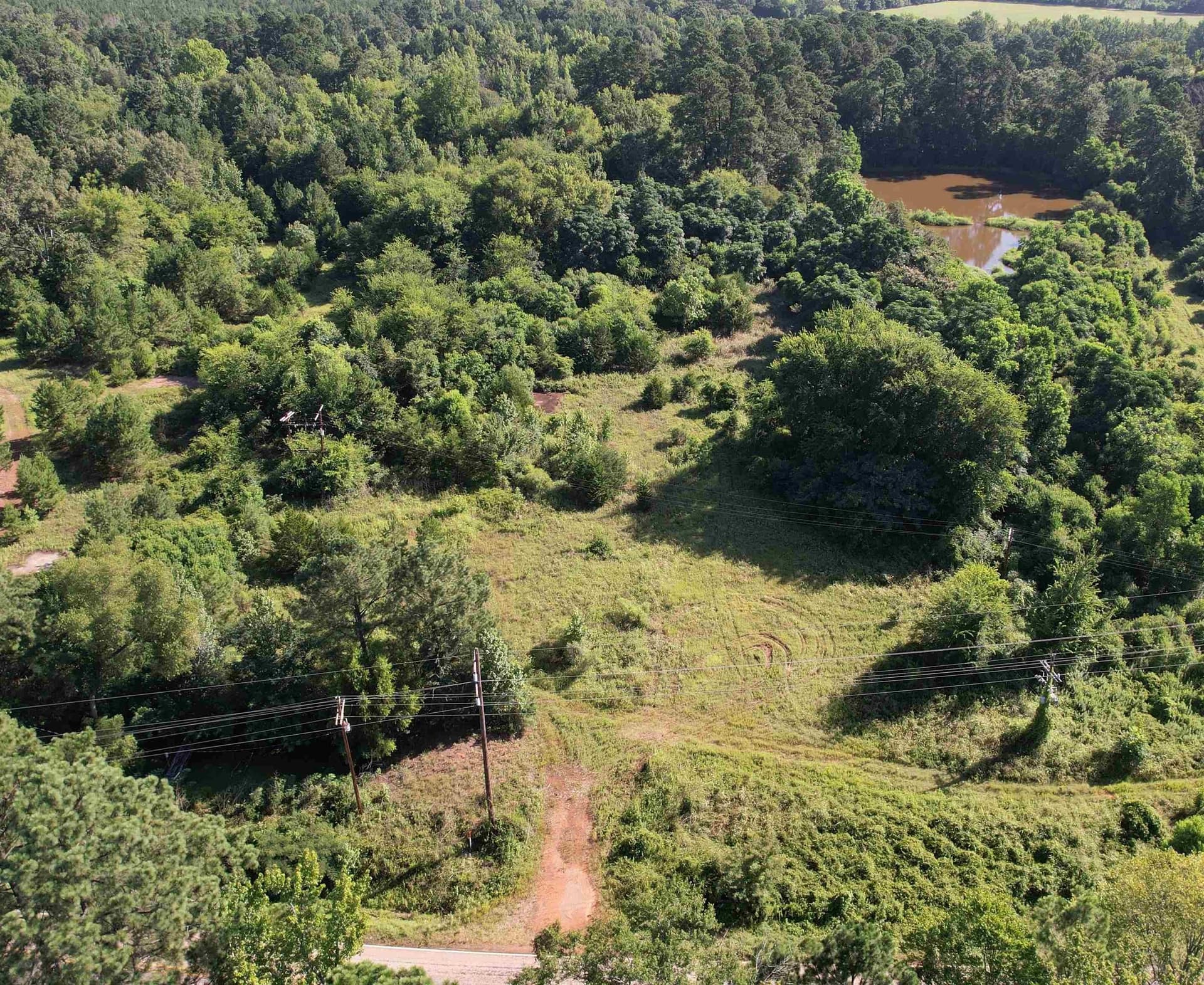 17.1 acres in Marion County featured view
