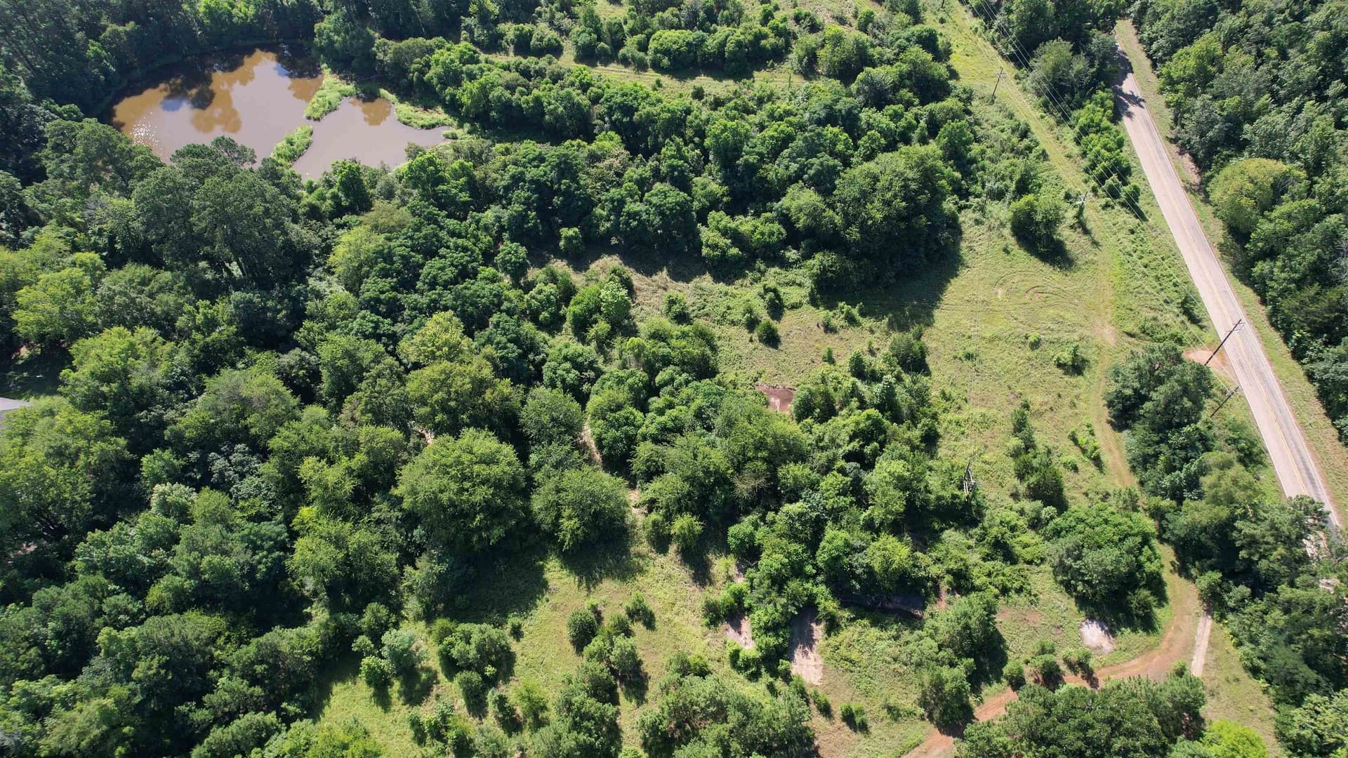 17.1 acres in Marion County gallery image 3