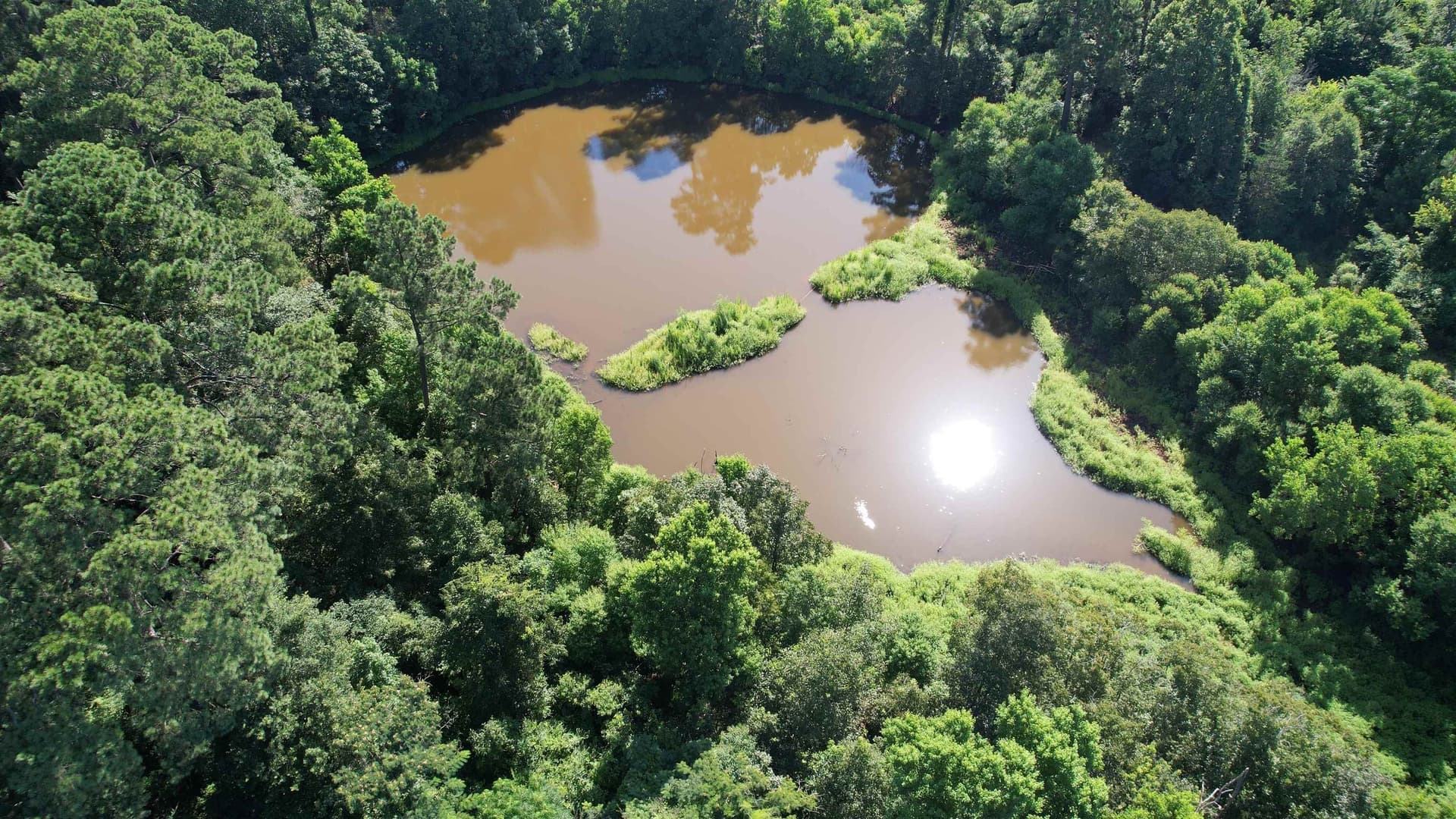 17.1 acres in Marion County - photo 9