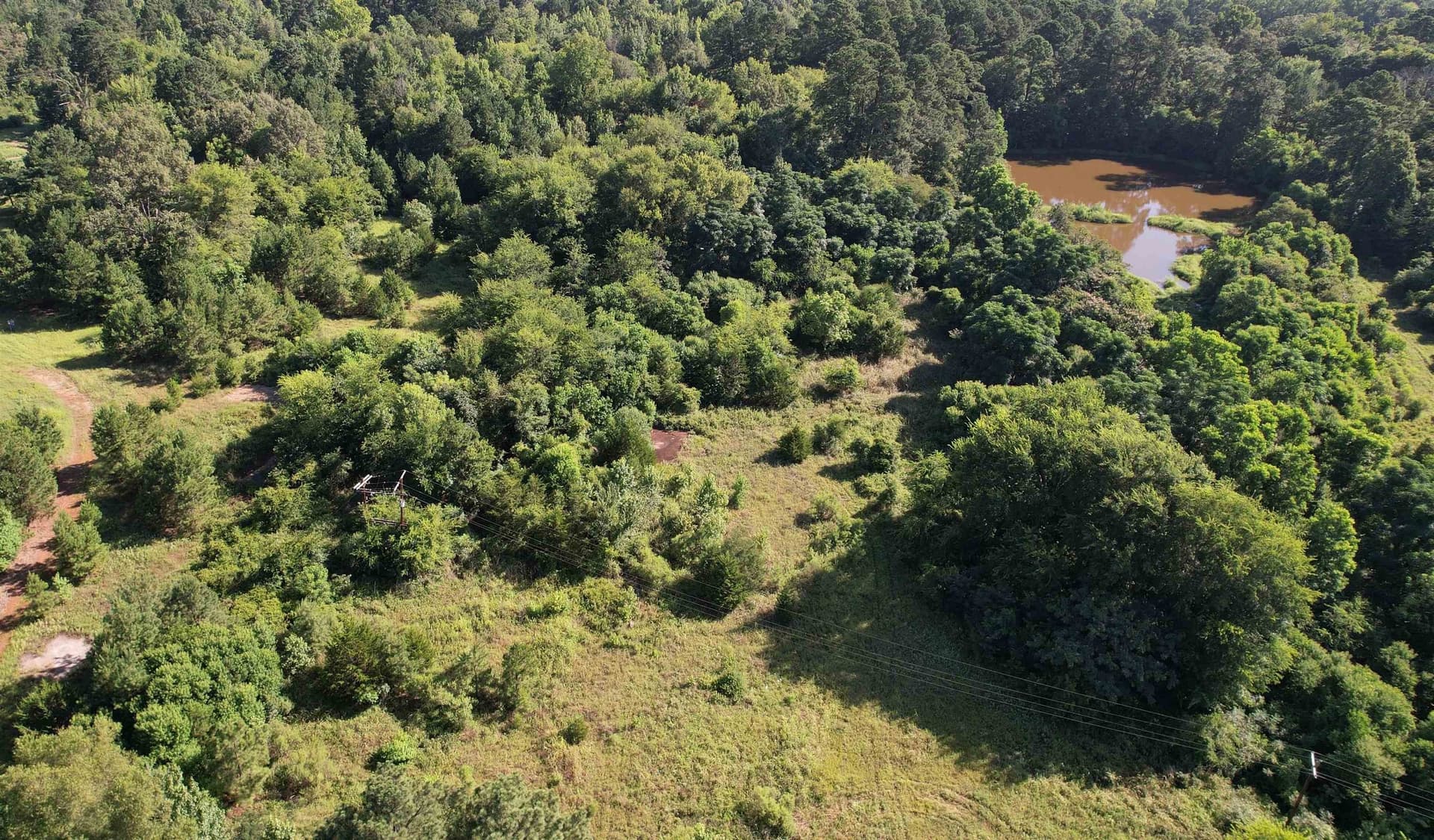 17.1 acres in Marion County gallery image 4
