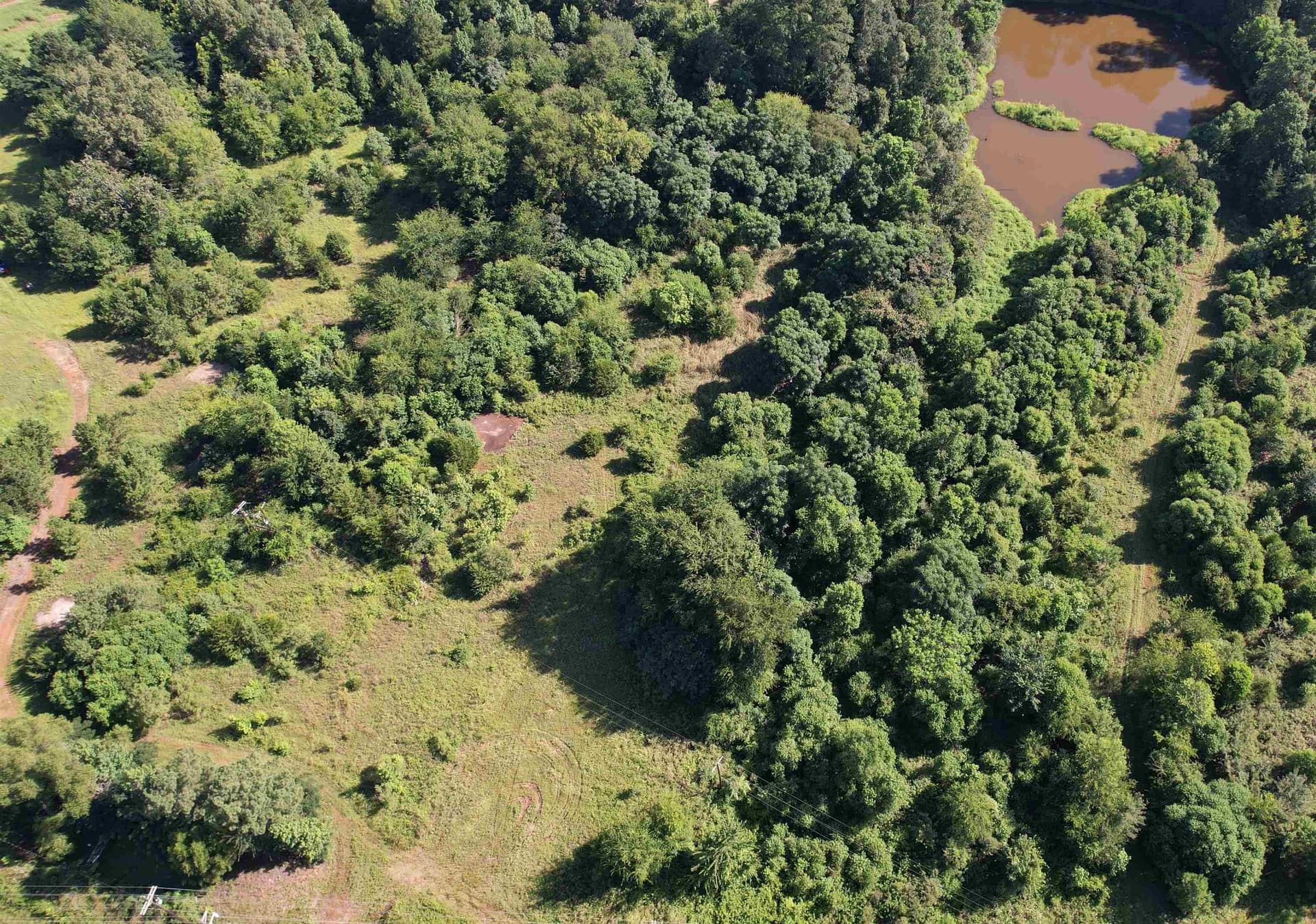 17.1 acres in Marion County - photo 10