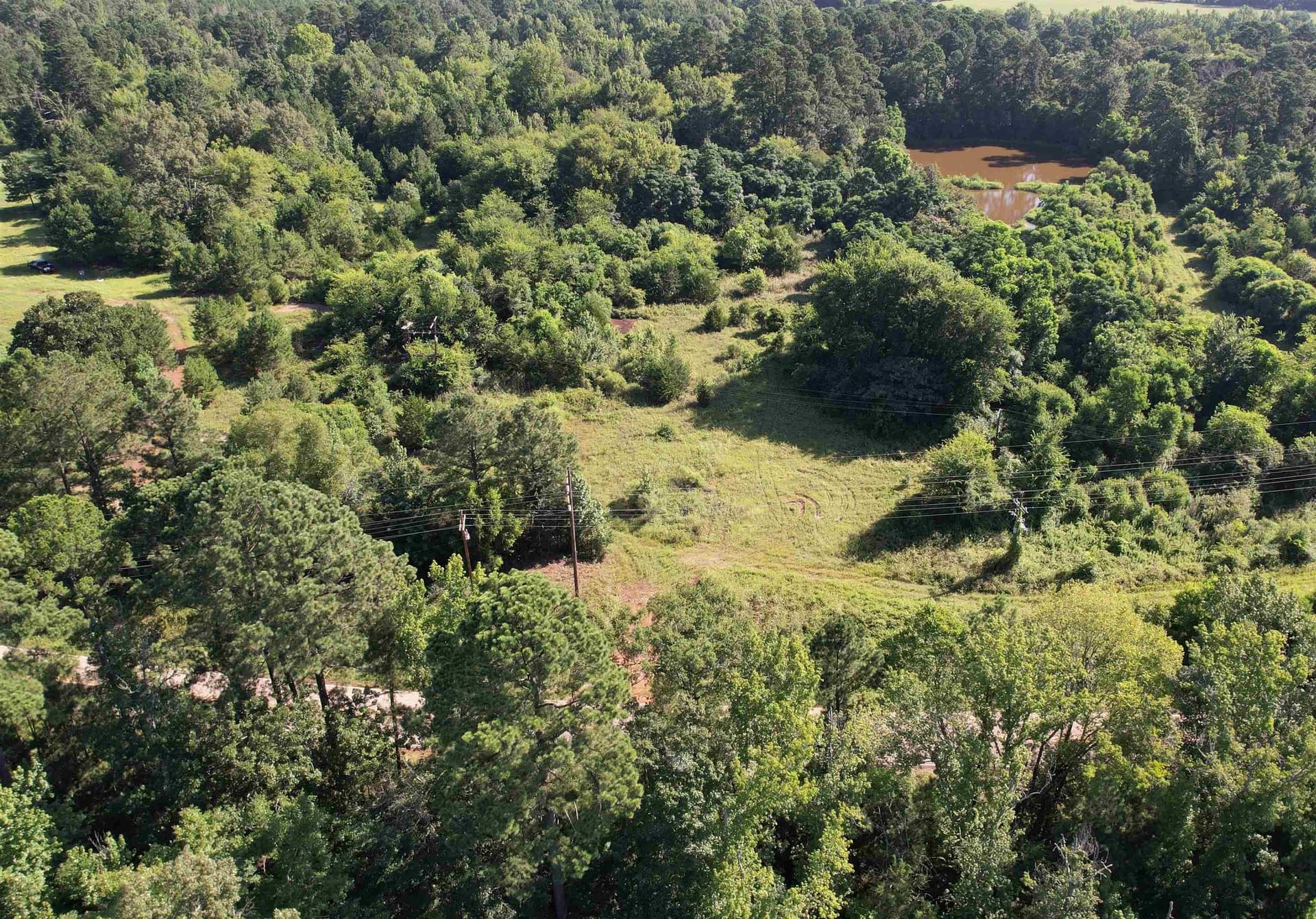 17.1 acres in Marion County - photo 11