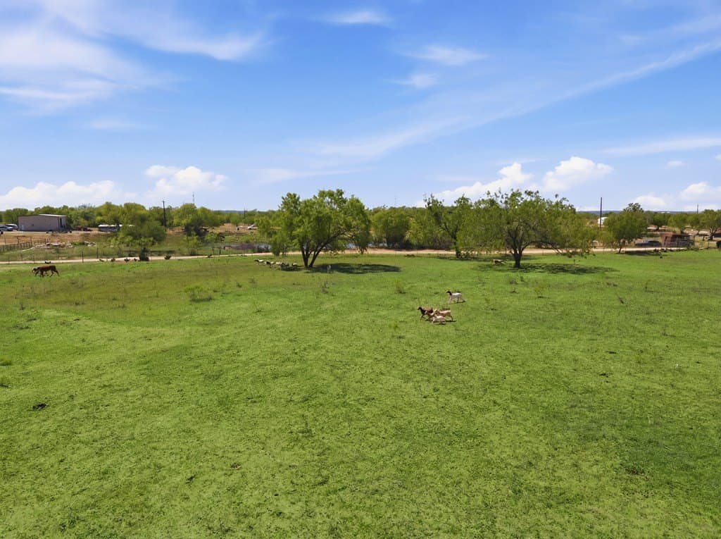5 acres in Bexar County - photo 8