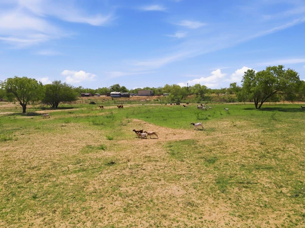 5 acres in Bexar County - photo 7