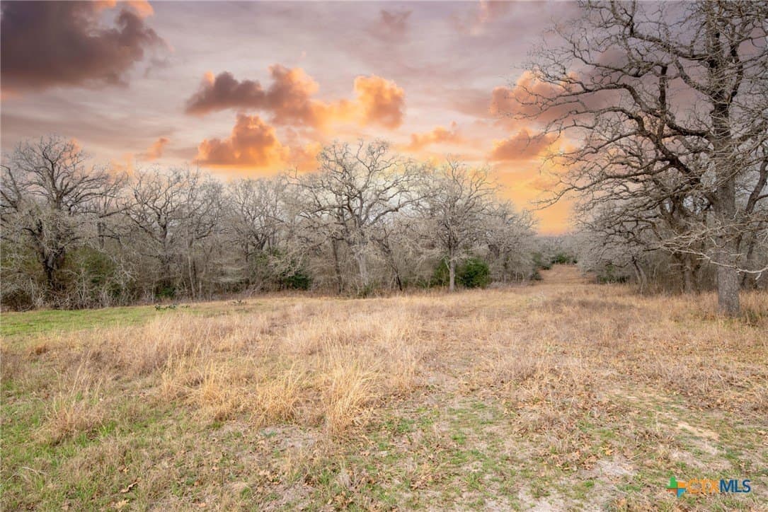 80.1 acres in Guadalupe County - photo 5