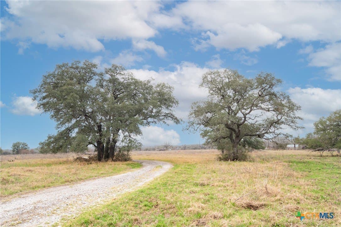 80.1 acres in Guadalupe County - photo 4