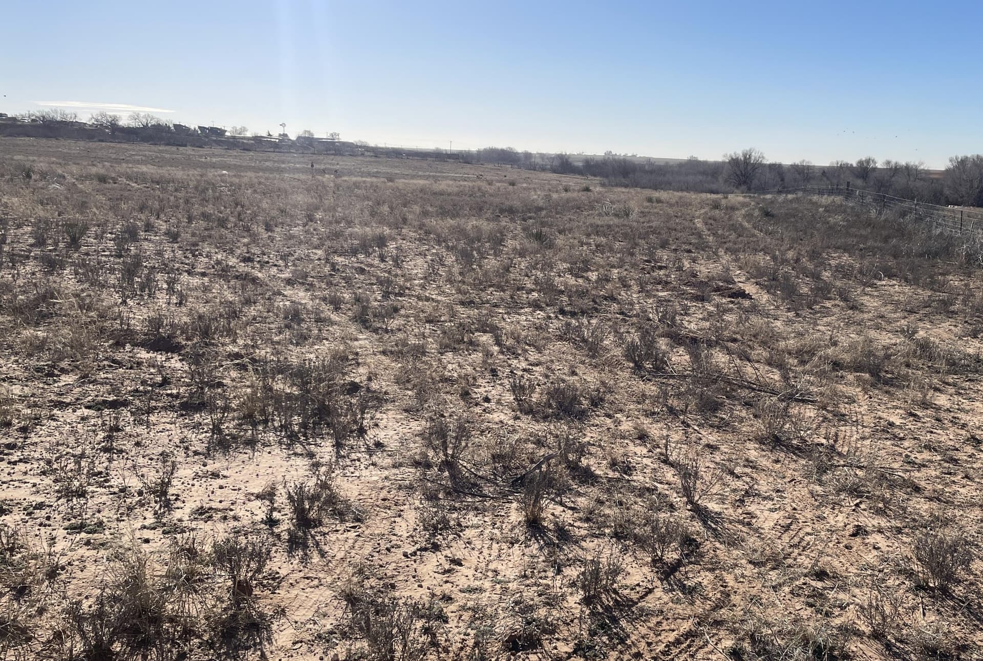 26.44 acres in Dawson County