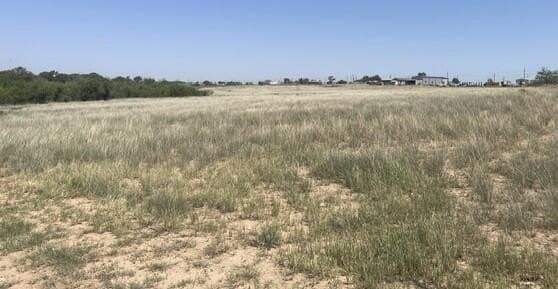 26.44 acres in Dawson County - photo 6