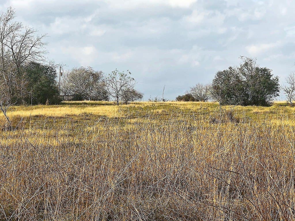 35 acres in Lavaca County gallery image 2