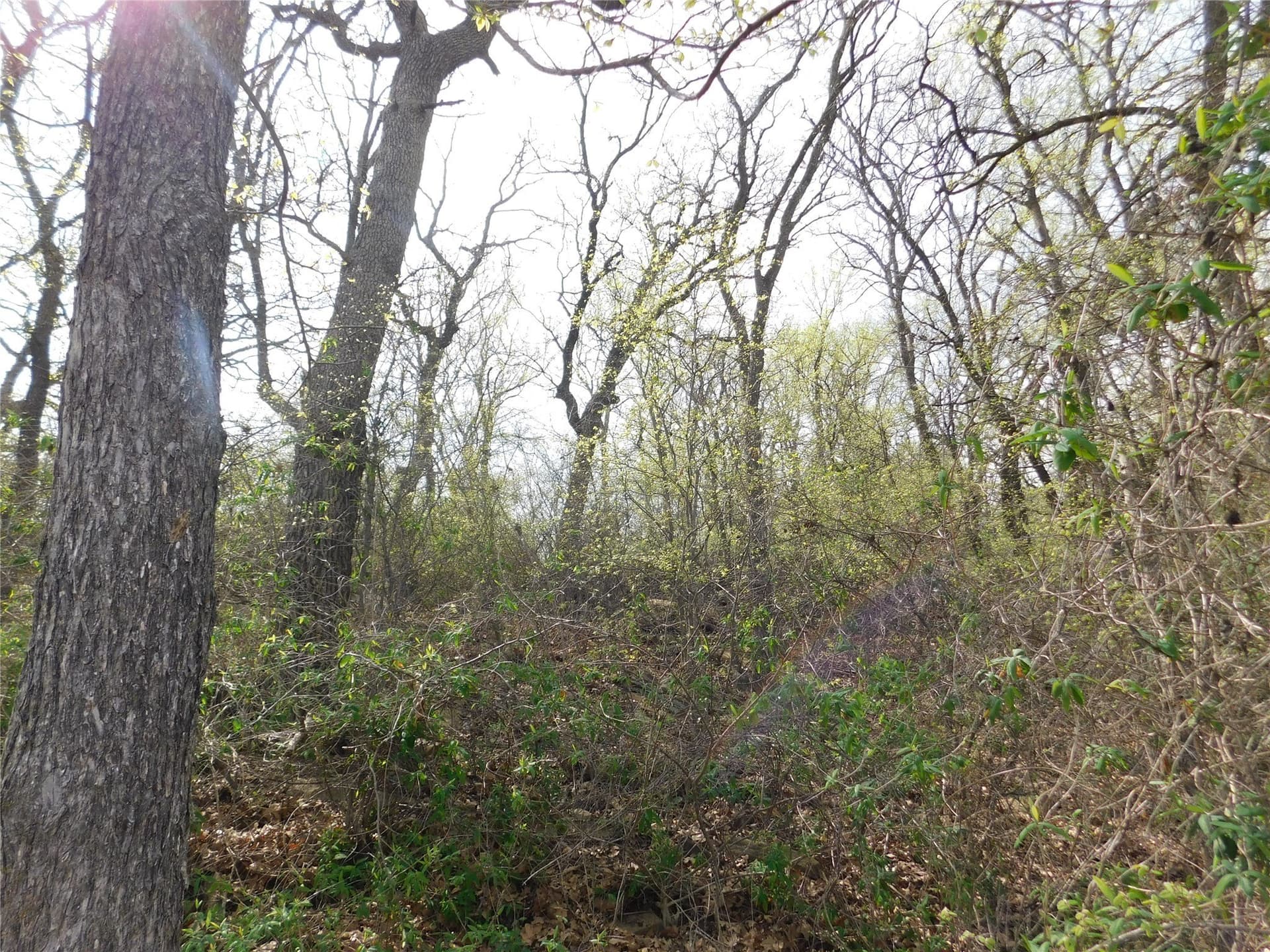 1.17 acres in Young County - photo 10