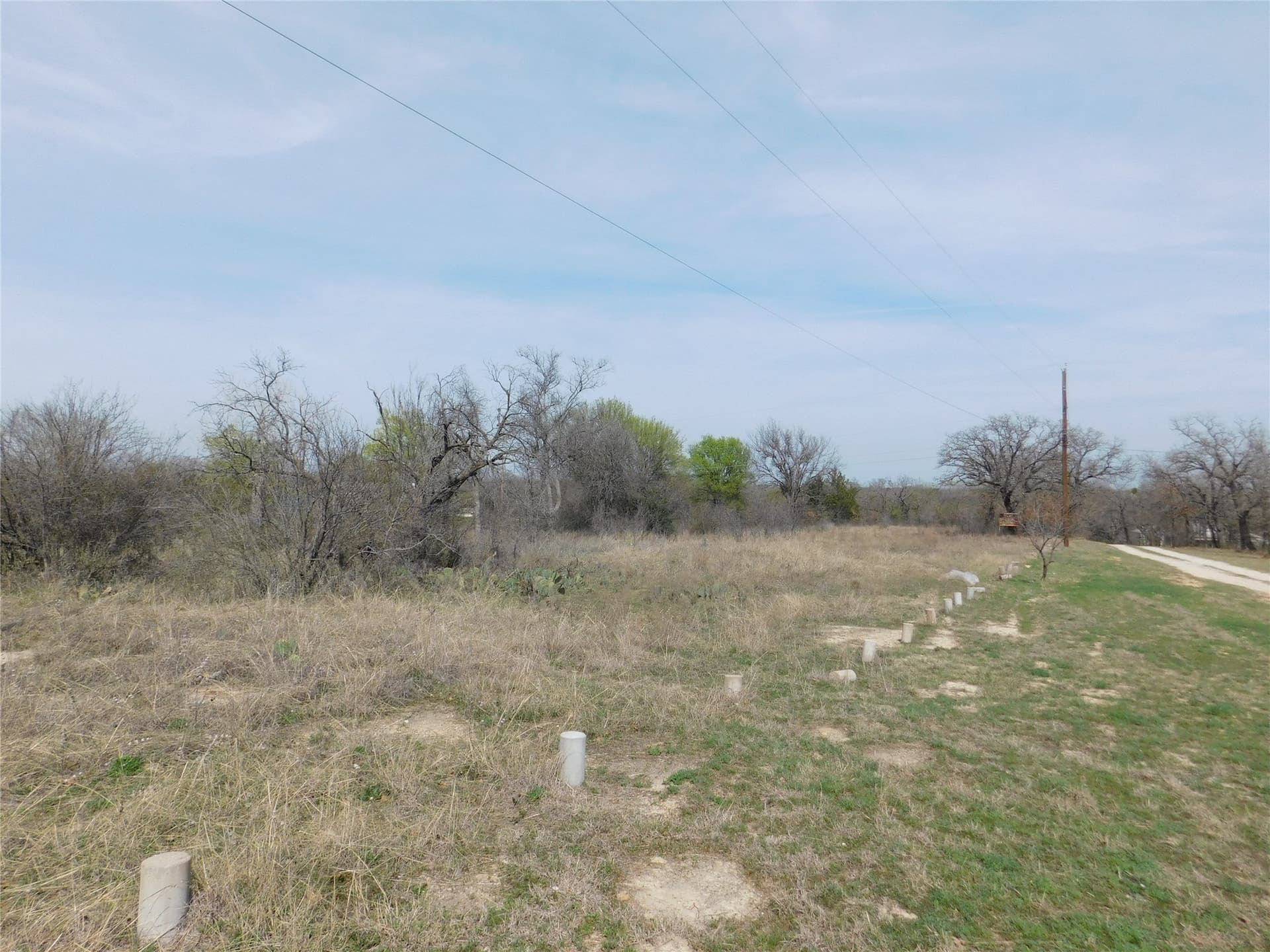 1.17 acres in Young County gallery image 3