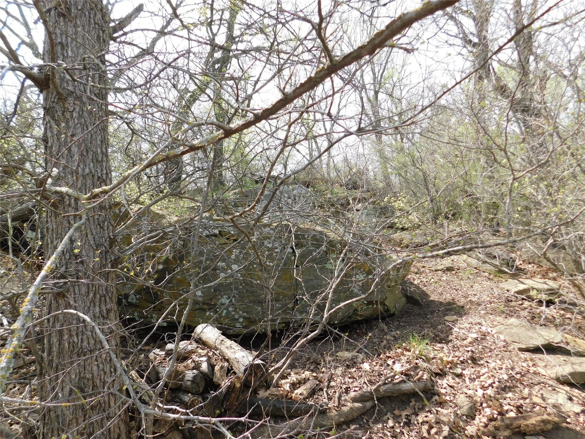 1.17 acres in Young County - photo 11