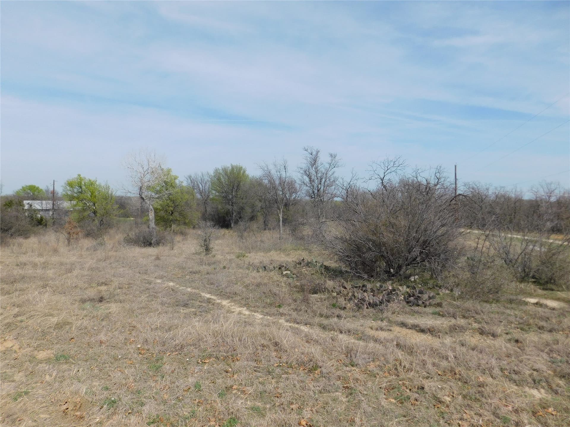 1.17 acres in Young County gallery image 2