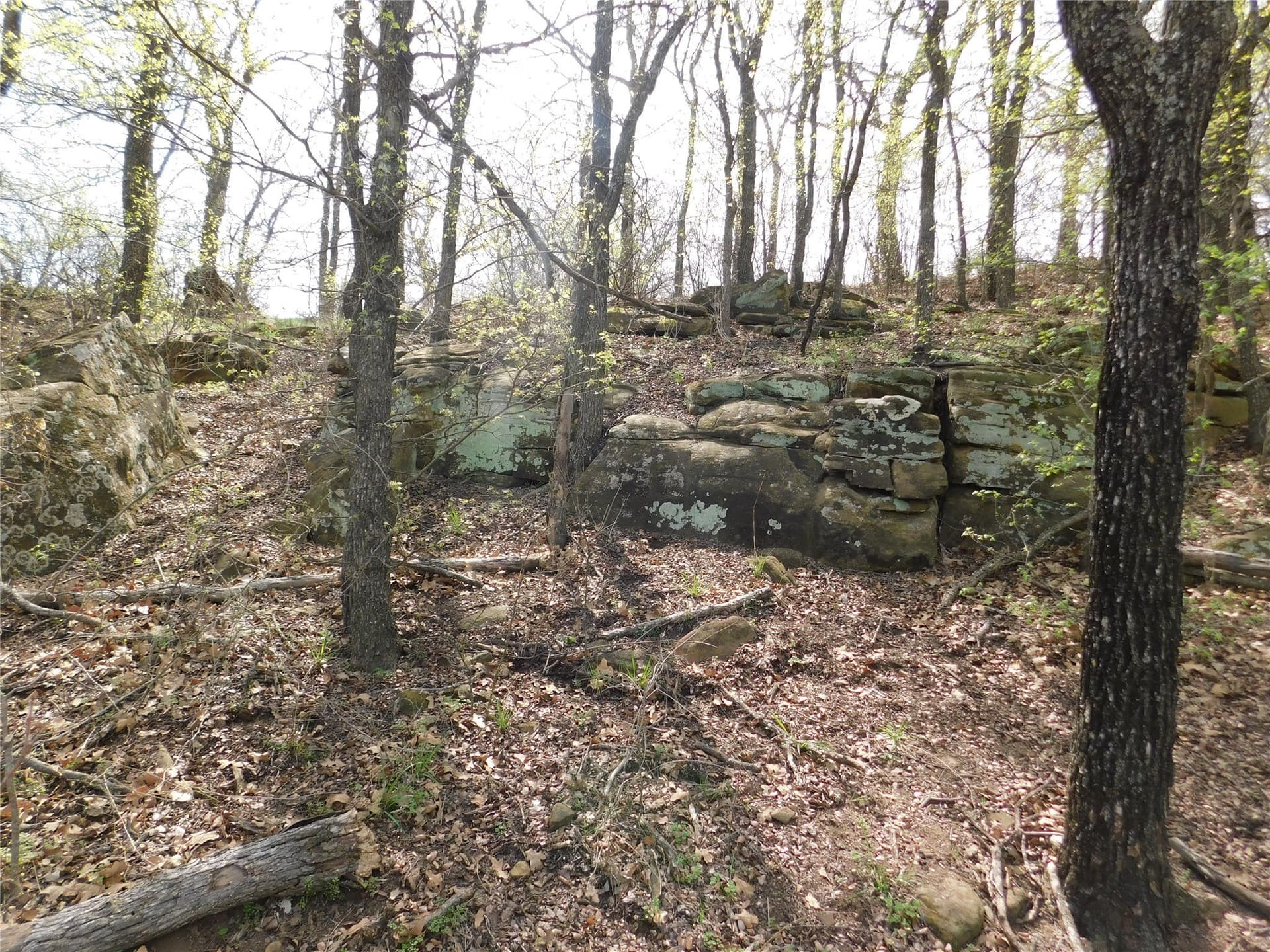 1.17 acres in Young County - photo 8