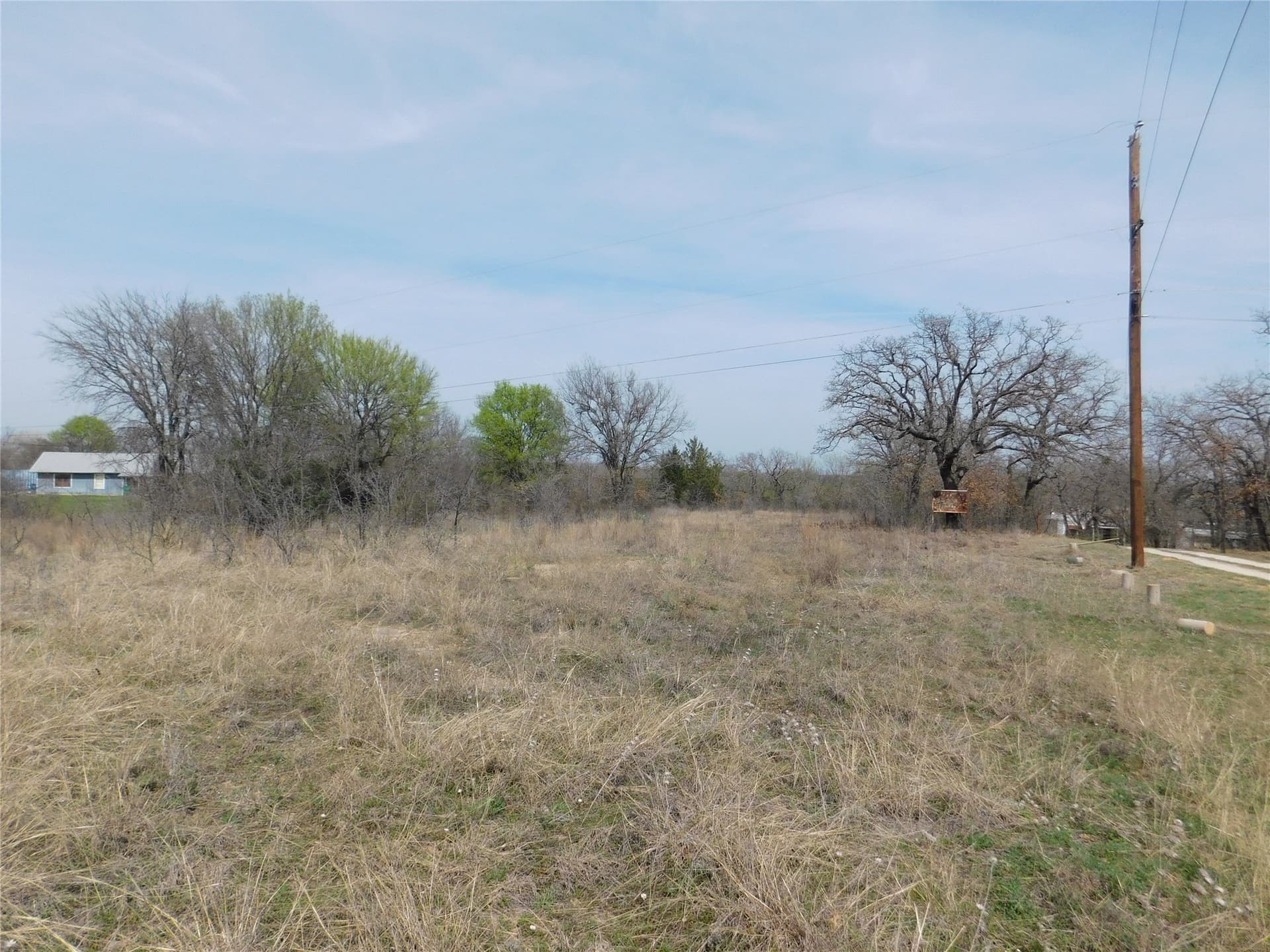 1.17 acres in Young County gallery image 4