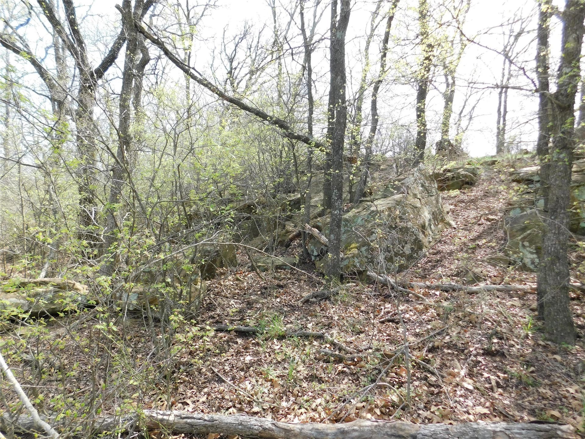 1.17 acres in Young County - photo 9