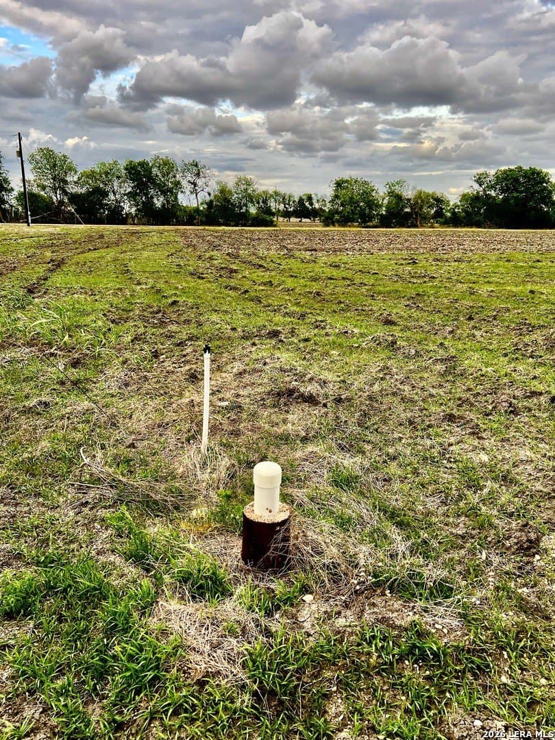 6.04 acres in Guadalupe County gallery image 3