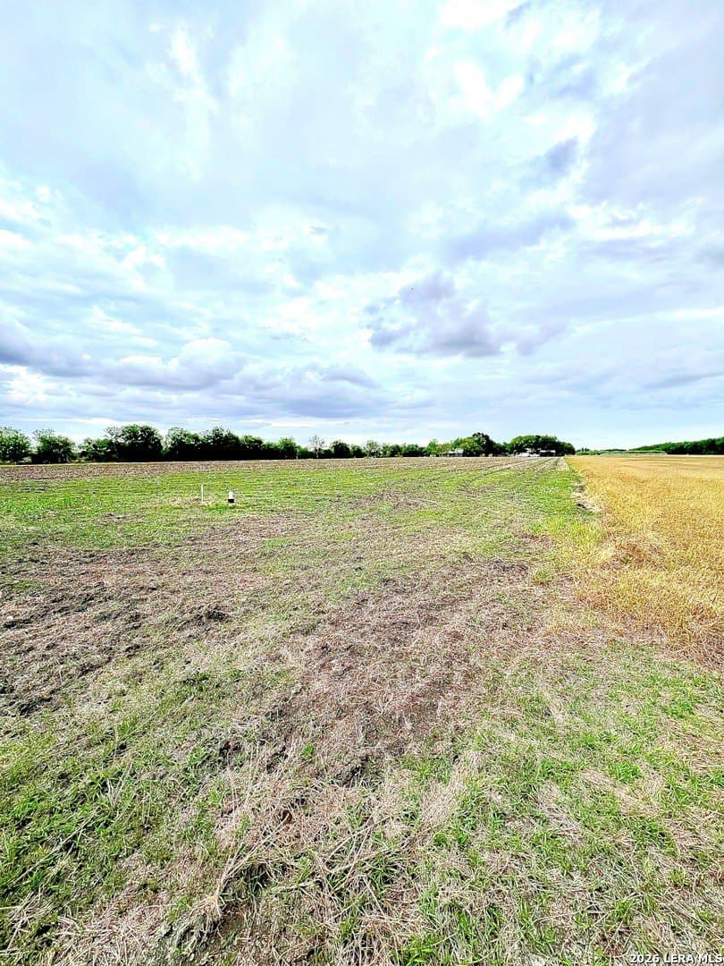 6.04 acres in Guadalupe County gallery image 4