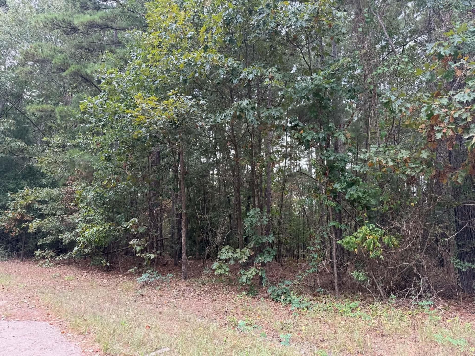 0 acres in Marion County - photo 5
