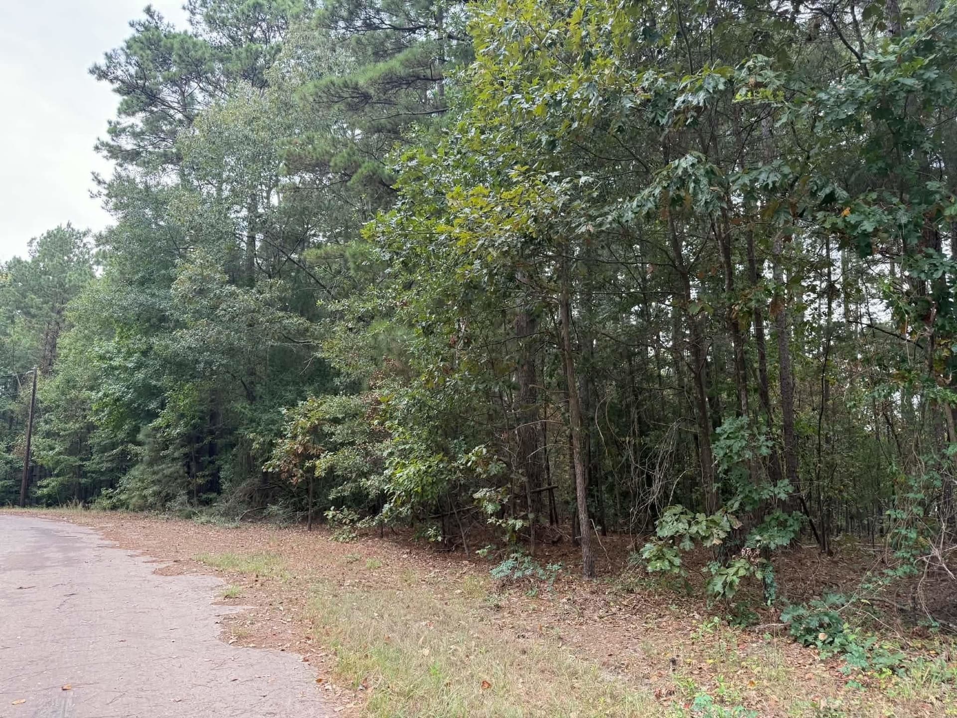 0 acres in Marion County - photo 6