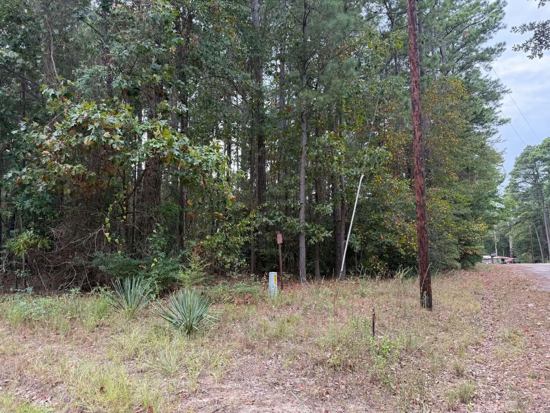 0 acres in Marion County - photo 2