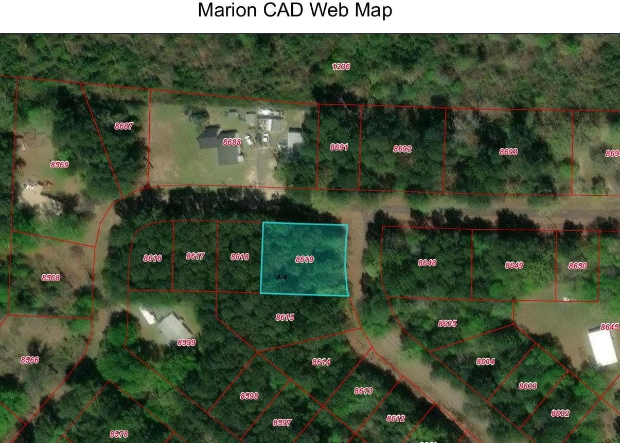 0 acres in Marion County - photo 7