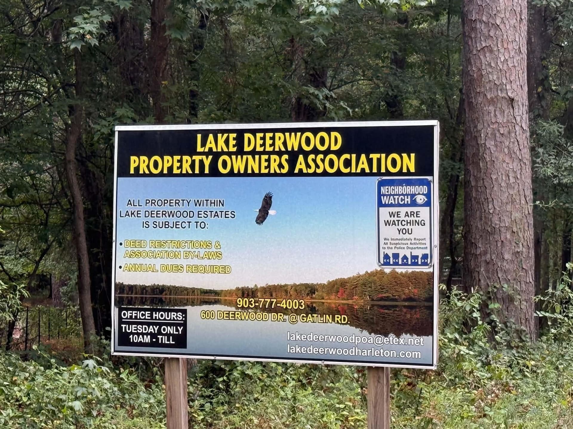 0 acres in Marion County - photo 3