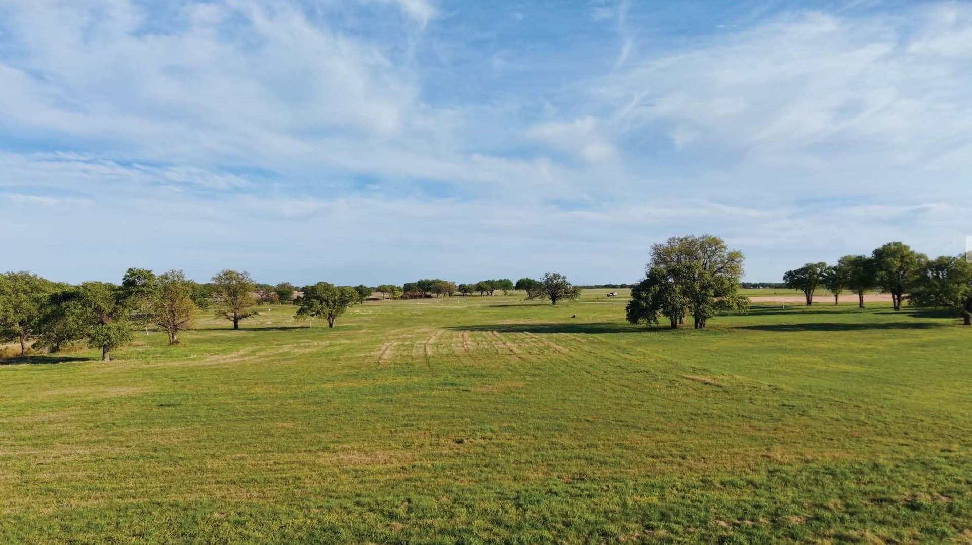 3.33 acres in Montague County gallery image 3