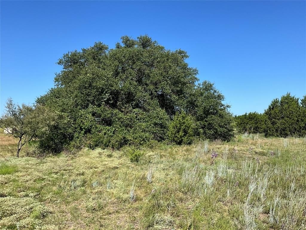 104.8 acres in Hamilton County gallery image 4