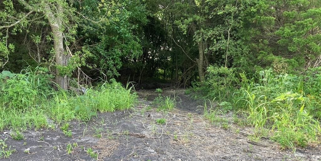 115.05 acres in Delta County featured view