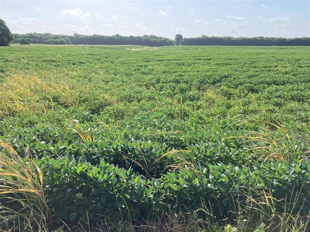 115.05 acres in Delta County gallery image 3