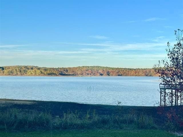 0.31 acres in Texas County
