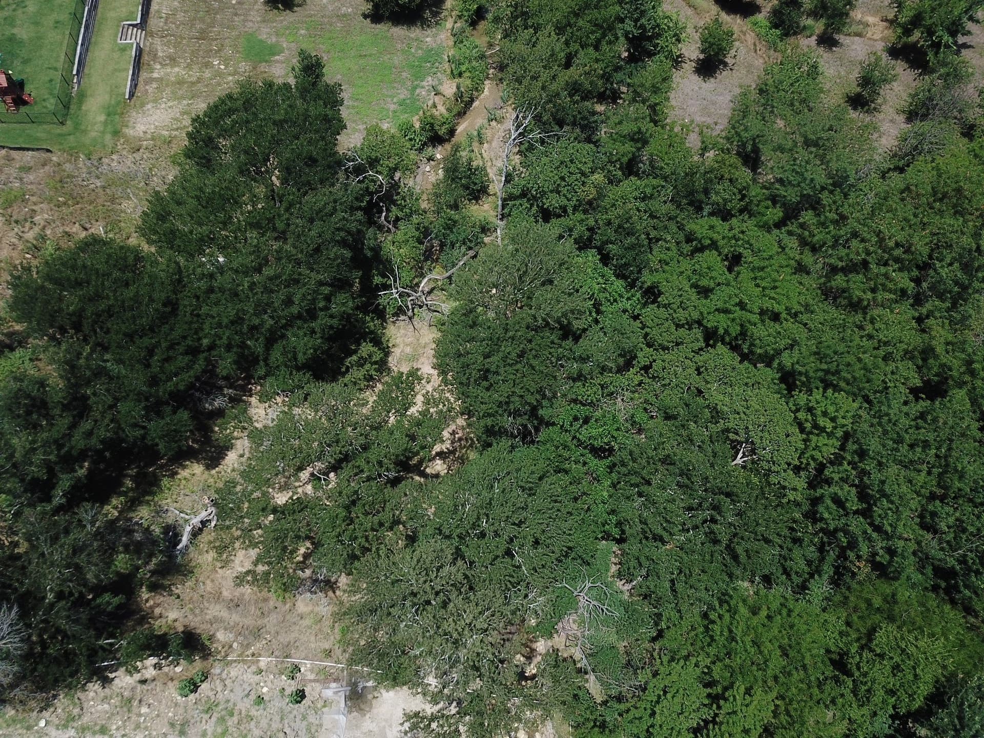 2.11 acres in Grayson County - photo 7