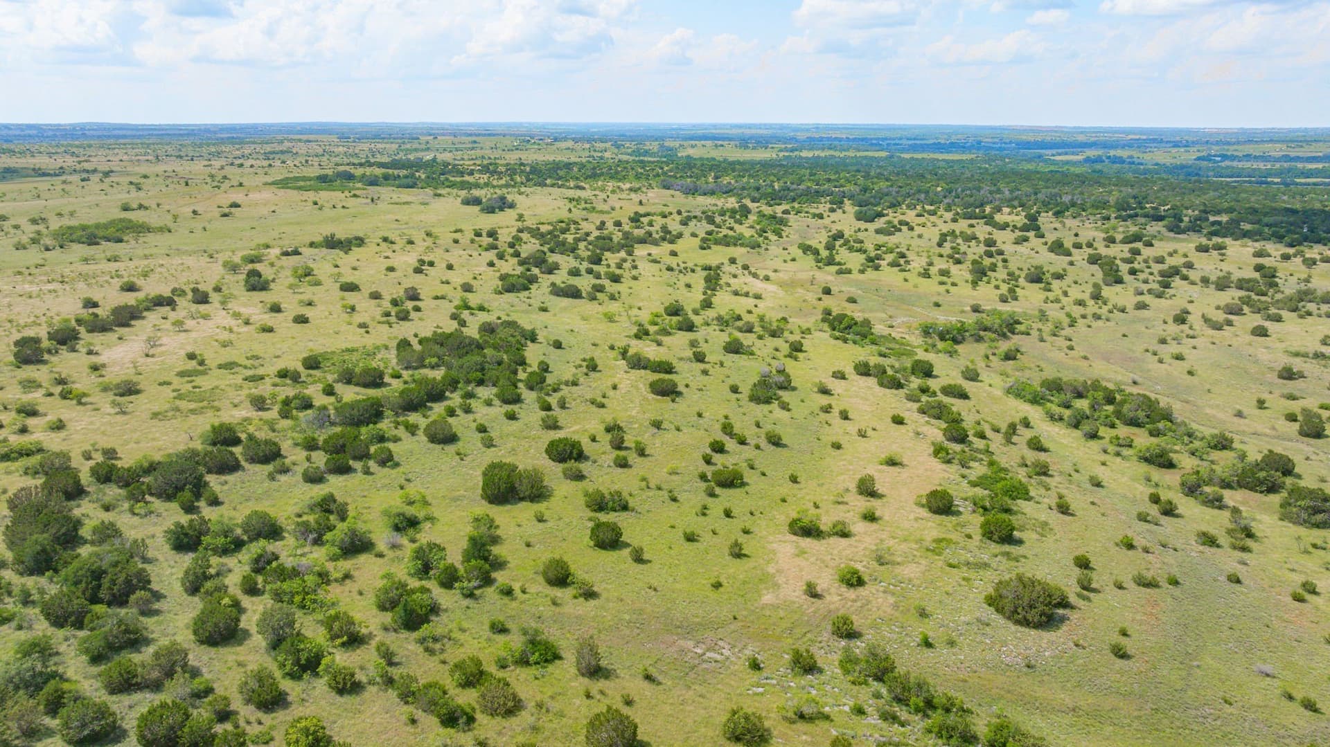 444 acres in Comanche County - photo 39