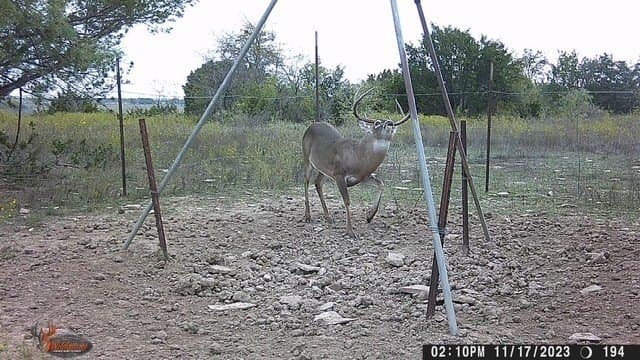 444 acres in Comanche County - photo 25