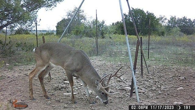 444 acres in Comanche County - photo 24