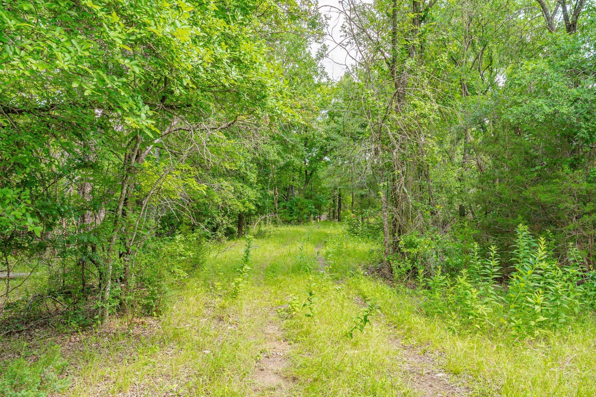 444 acres in Comanche County - photo 6