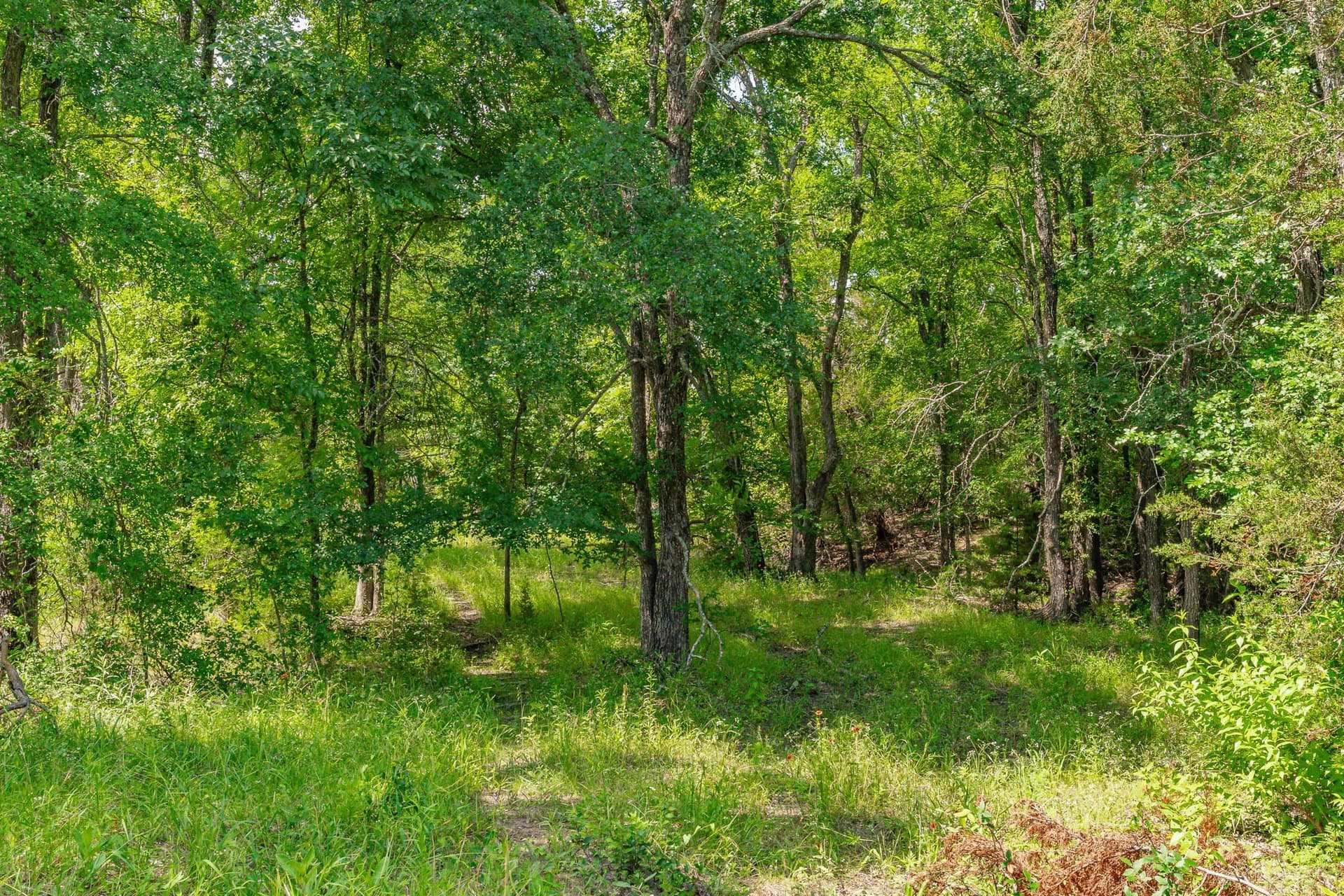 444 acres in Comanche County - photo 30
