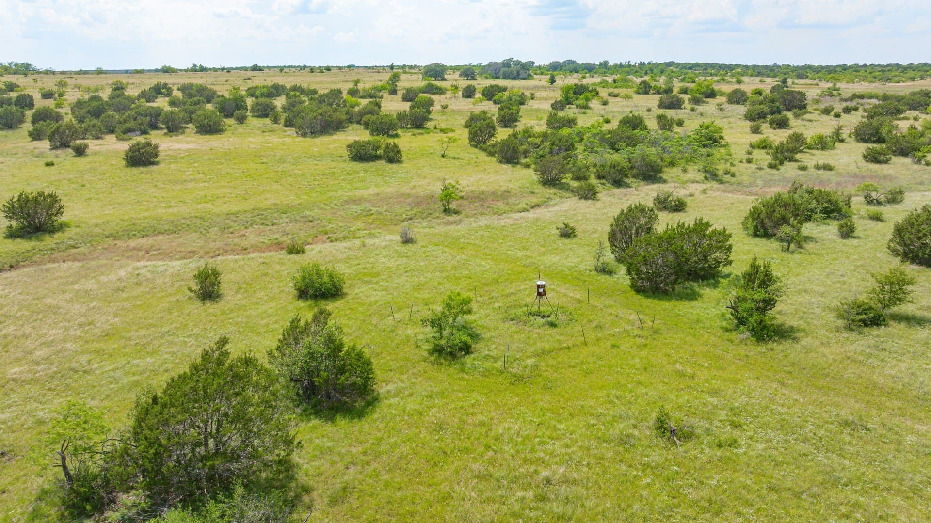 444 acres in Comanche County - photo 31