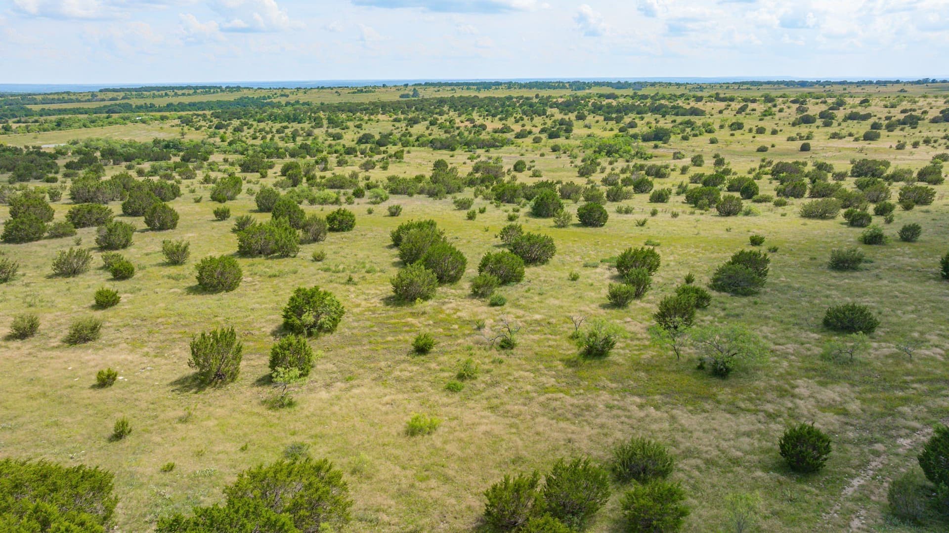 444 acres in Comanche County - photo 33