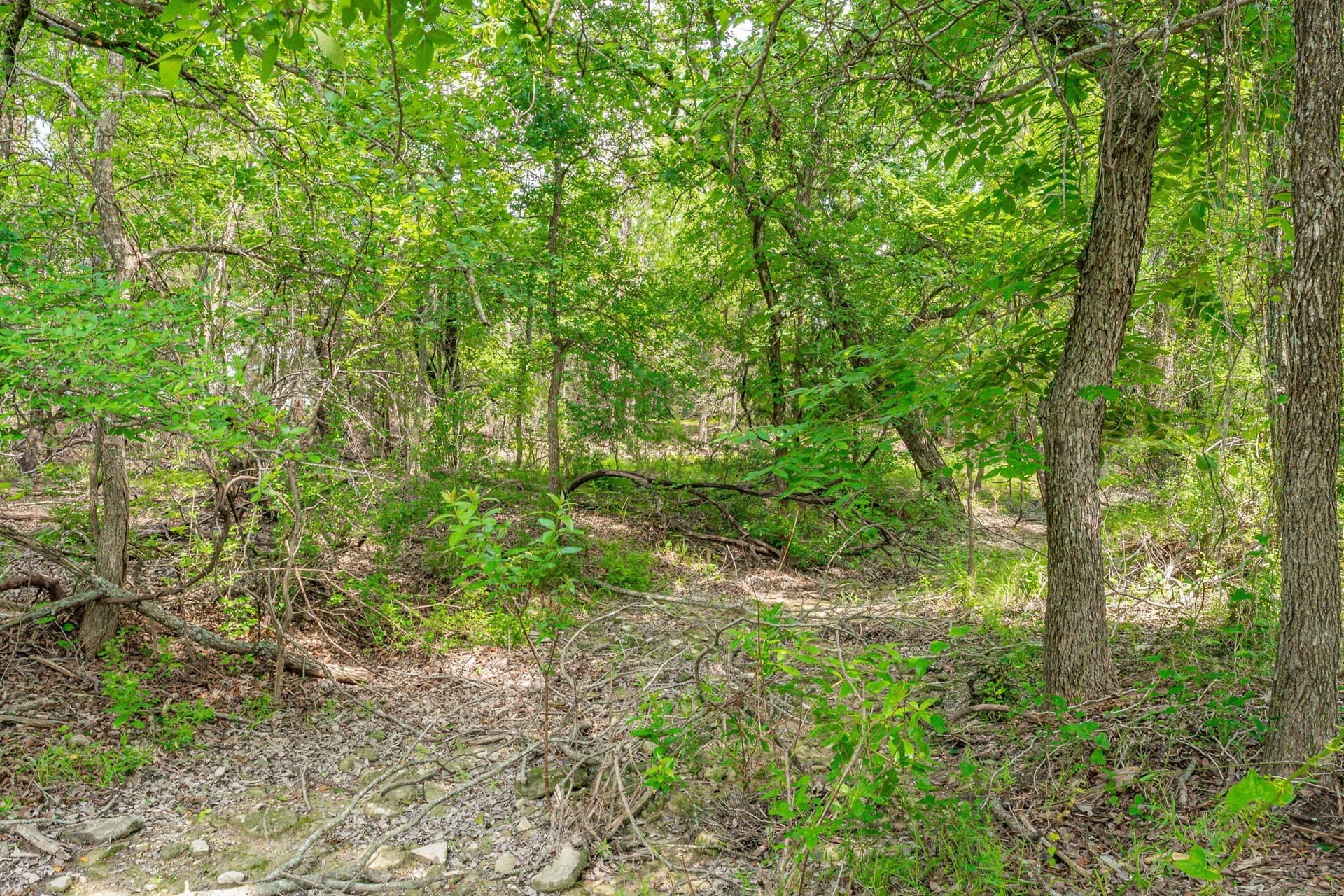 444 acres in Comanche County featured view