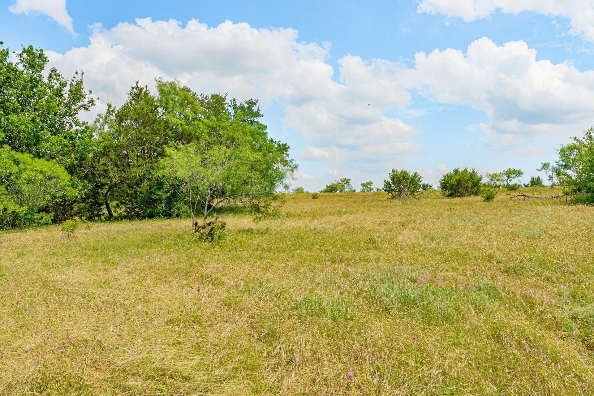 444 acres in Comanche County - photo 8