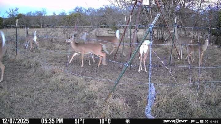 444 acres in Comanche County - photo 26